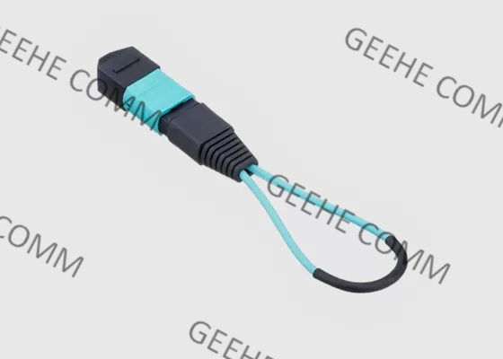 προσαρμοστής Loopback οπτικών ινών 0.3m OM4 MPO MTP