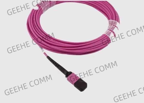 Θηλυκό MPO στο αρσενικό Singlemode 9/125 καλώδιο οπτικών ινών MPO για το δίκτυο